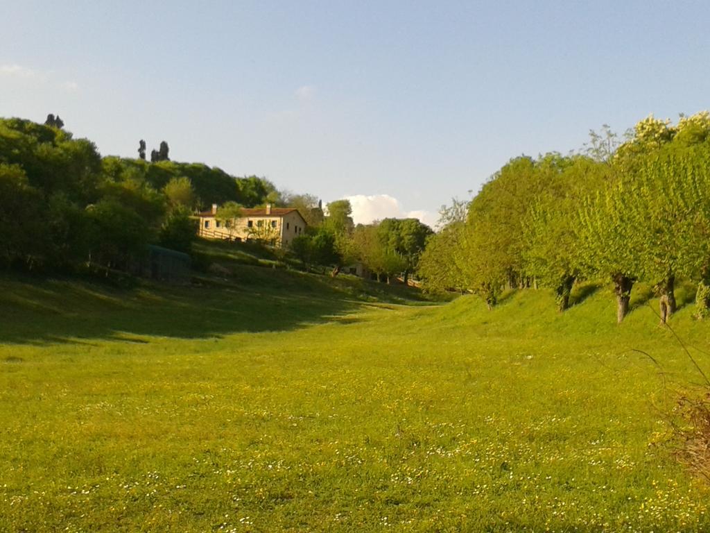 Casale La Rocchetta Bed & Breakfast Лониго Екстериор снимка