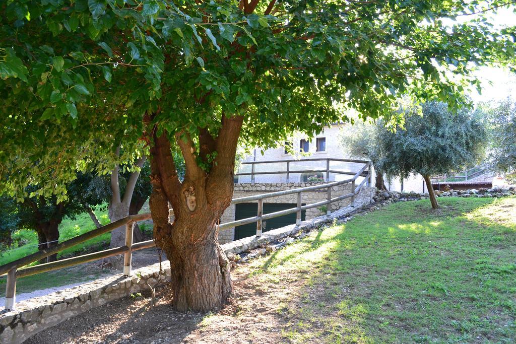Casale La Rocchetta Bed & Breakfast Лониго Екстериор снимка